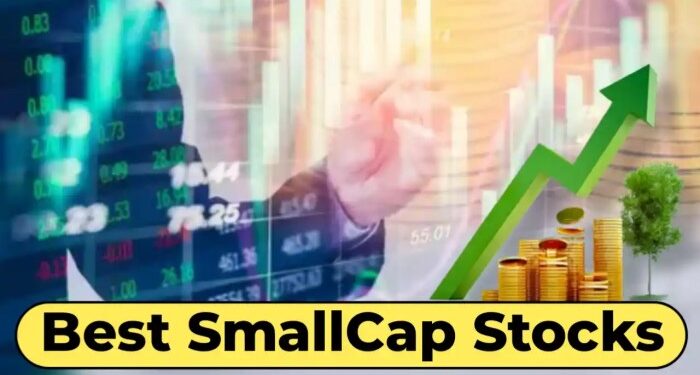 Best Small Cap Stocks To Watch In 2025