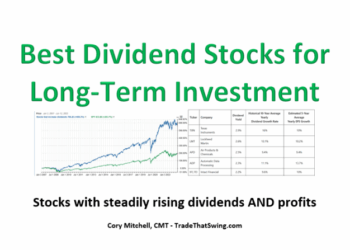 Best Dividend Stocks for Long-Term Investment - Trade That Swing