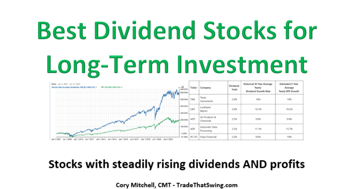 Best Dividend Stocks for Long-Term Investment - Trade That Swing